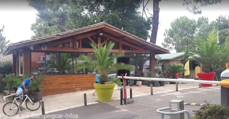 aire camping aire camping club d arcachon