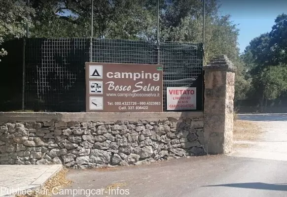 aire camping aire camping bosco selva
