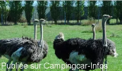 aire camping aire courlay