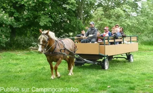 aire camping aire ferme pedagogique cheval nature
